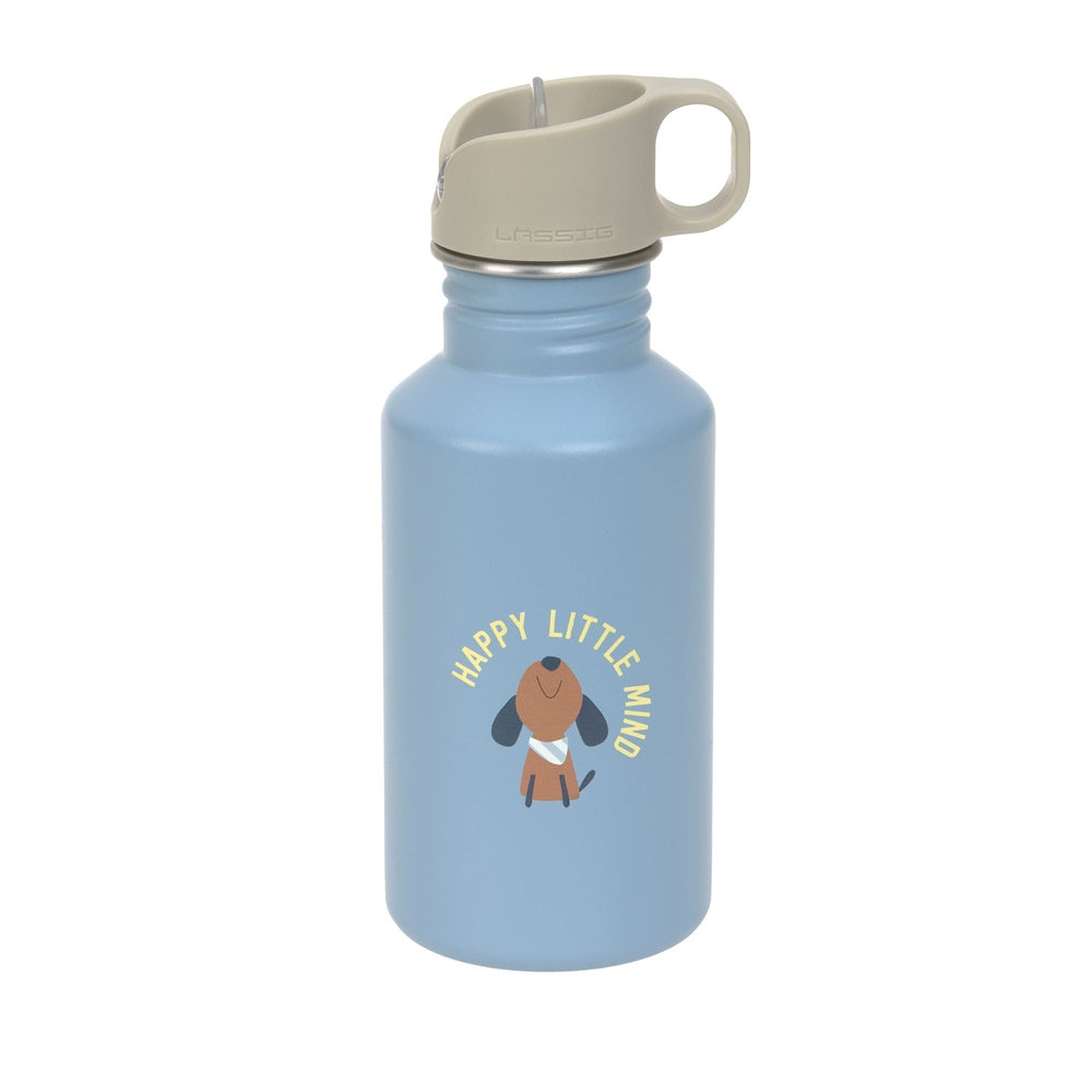 Lässig Drinkfles RVS Party 500 Ml - Blue/Green