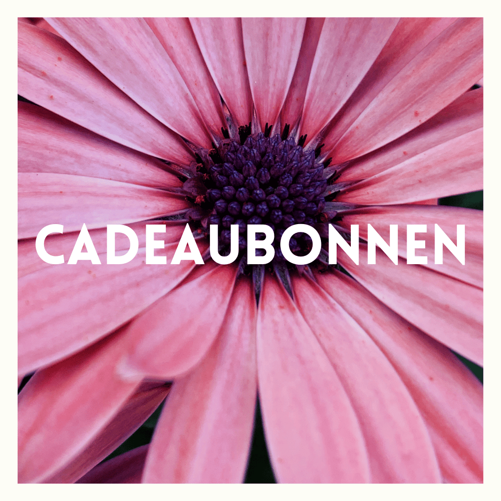 Cadeaubonnen