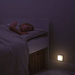 Cloud B Cube B - Forest