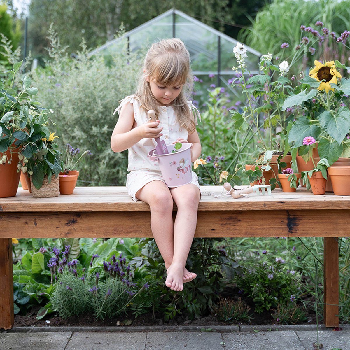 Little Dutch Emmer - Roos Fairy Garden