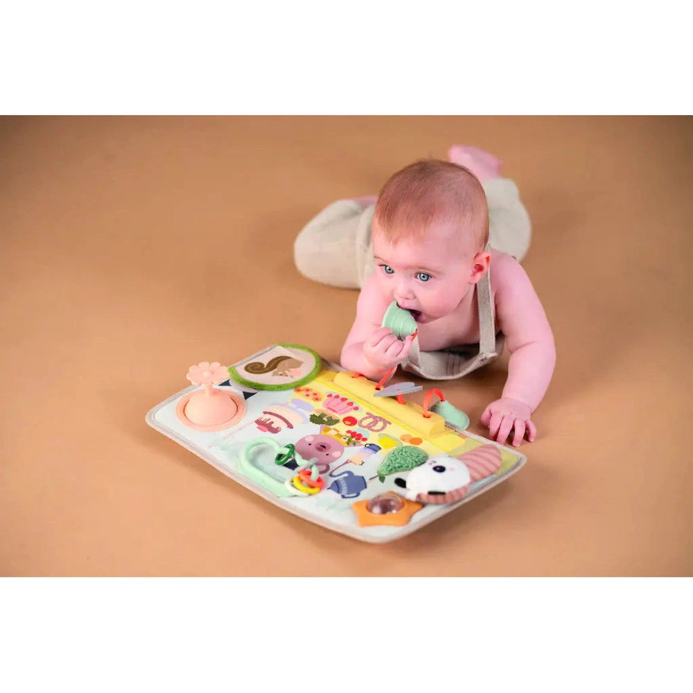 Taf Toys Peek, Pop & Play Station