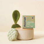 Wondr Shampoo Bar Refreshing Cactus
