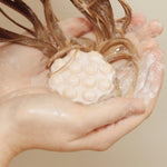 Wondr Shampoo Bar Refreshing Cactus