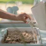 Little Dutch Houten Buitenkeuken - Groen