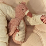 Little Dutch Knijprammelaar Flamingo - Roze