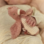 Little Dutch Knijprammelaar Flamingo - Roze