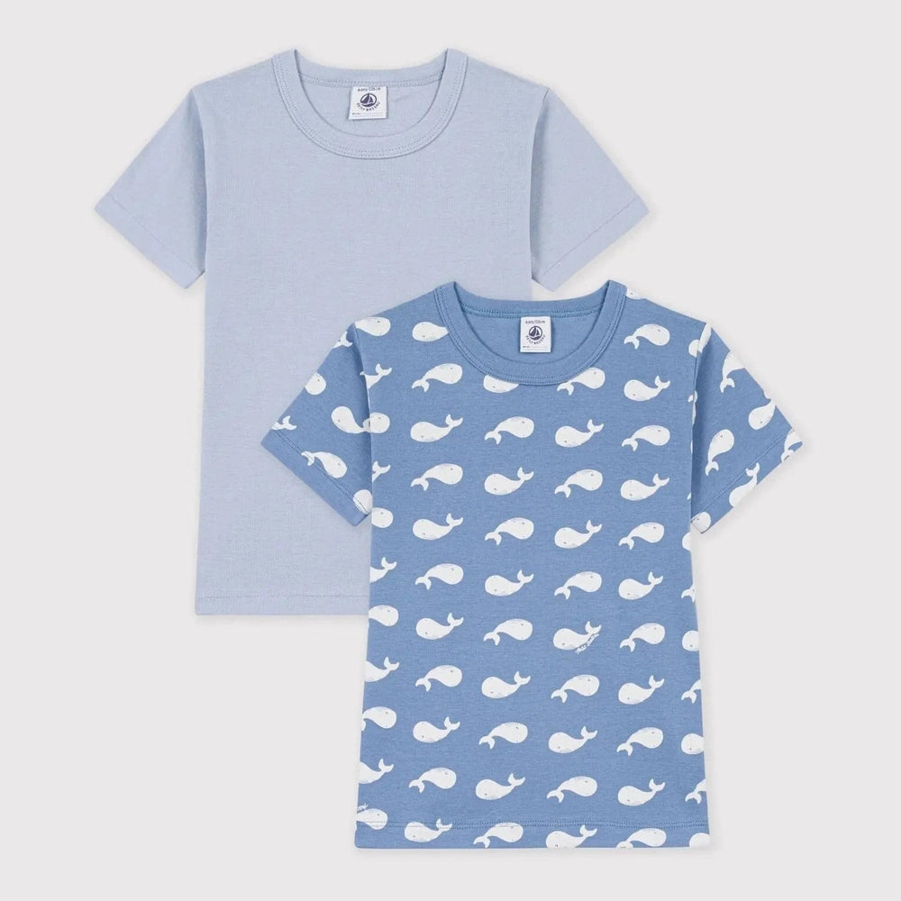 Petit Bateau 2 t-shirts manches courtes - multicolore