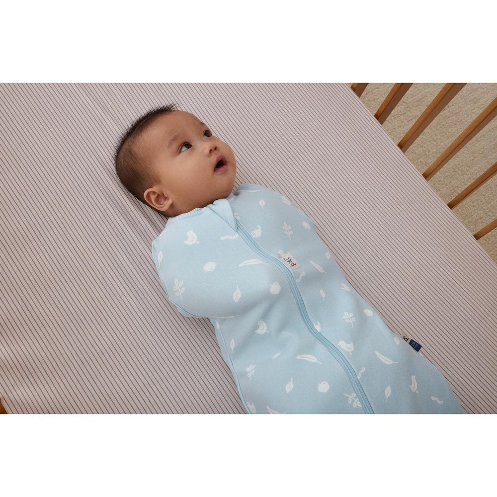 Ergopouch Cocoon Combi Slaapzak Baby + Inbakerslaapzak 0,2 Tog 3-6M - Ducks