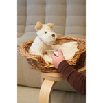 Egmont Toys Eliot Hond Met Muziekdoos