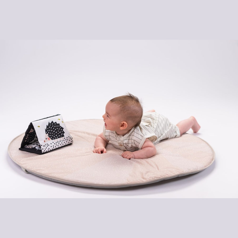 Taf Toys - Newborn Kit - Black&White