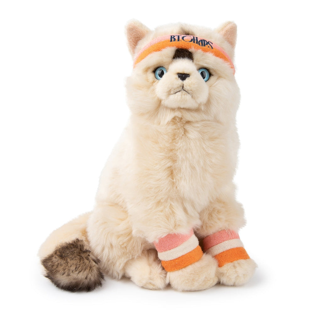 Dolly The Ragdoll - 32cm