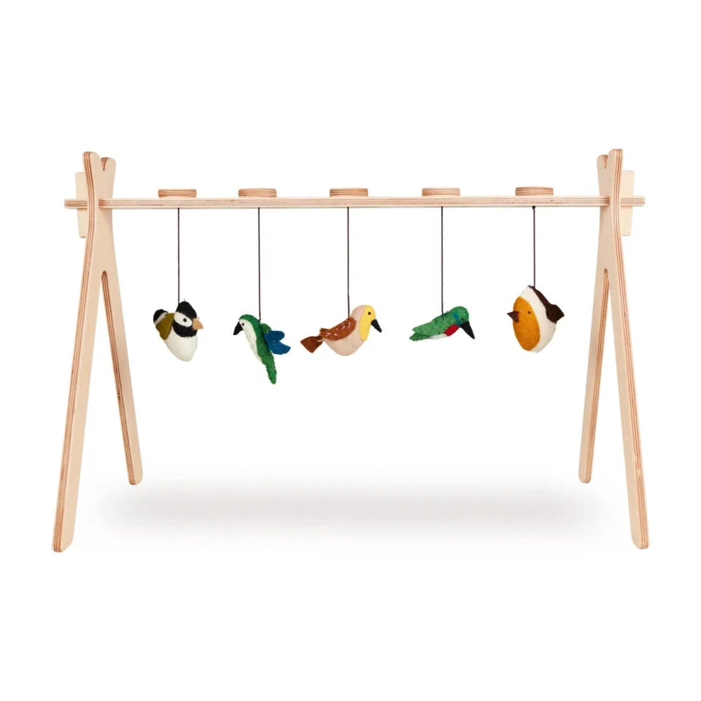 Quax Activity Set - Vogeltjes 5 stuks