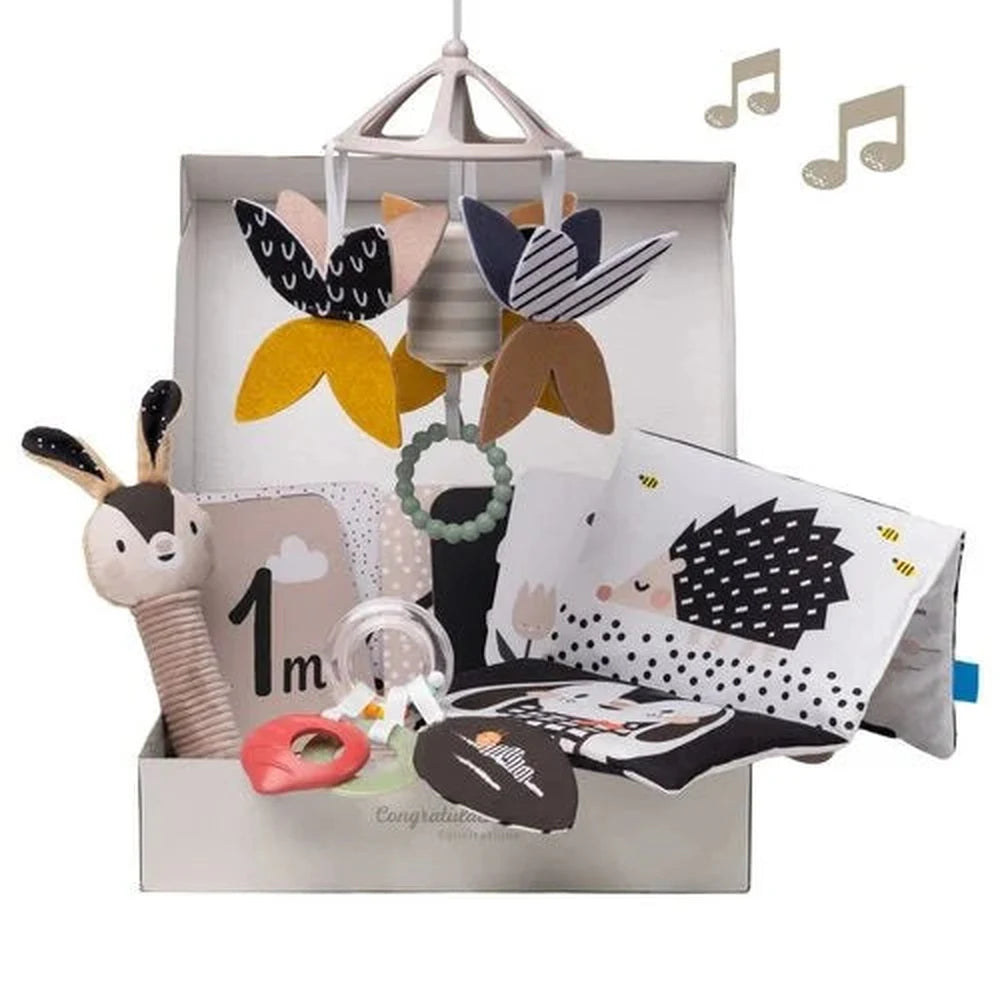 Taf Toys - Newborn Kit - Black&White