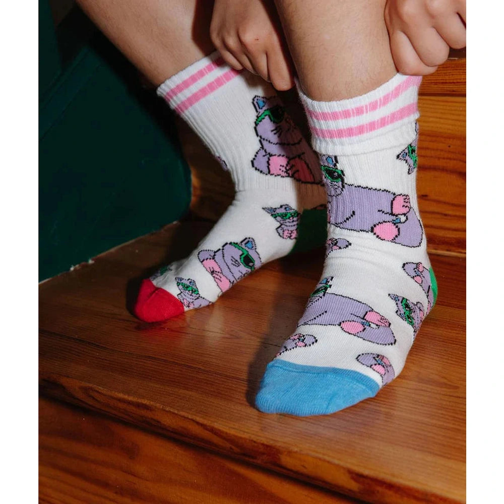 Hello Hossy - Sokkenset - Cats