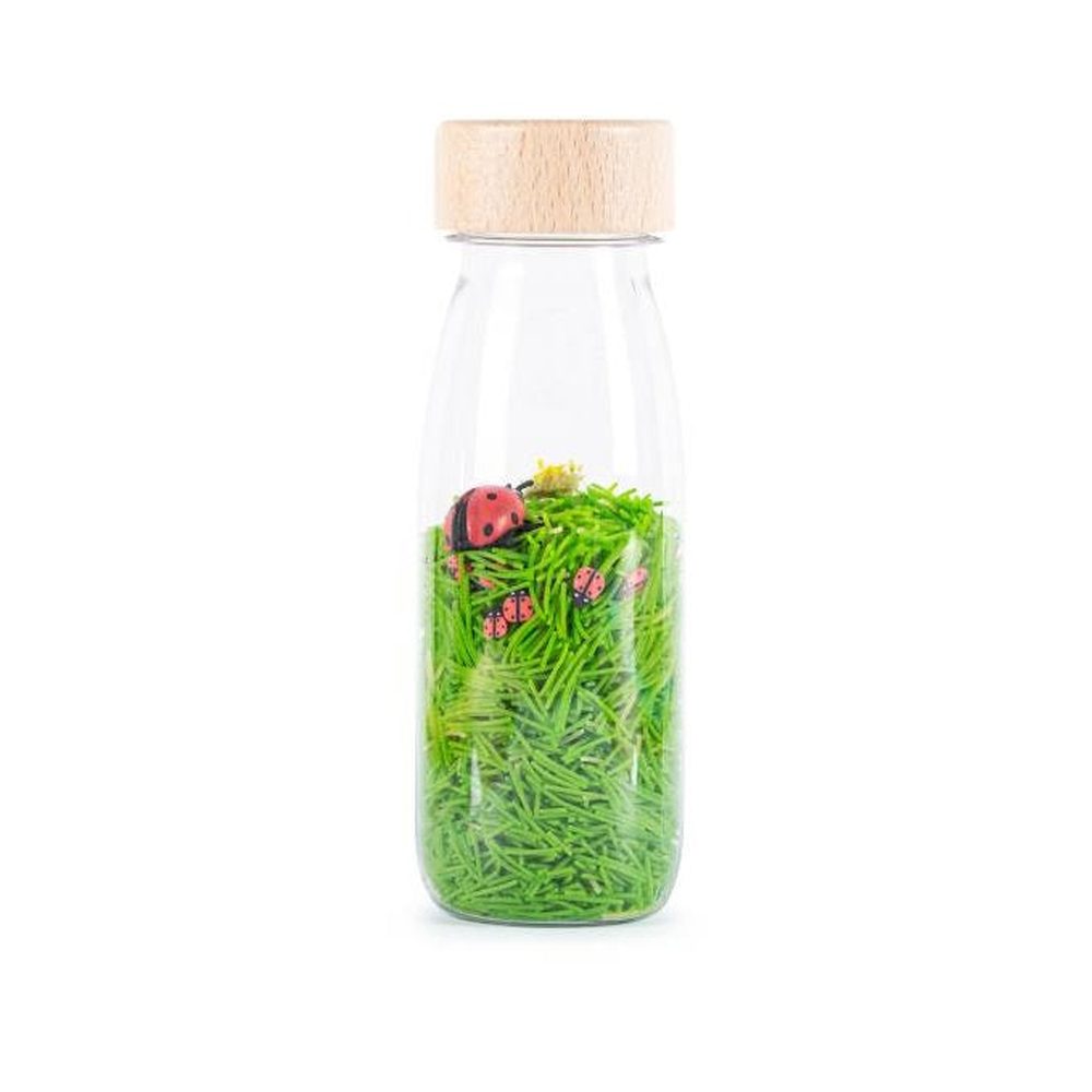 Petit Boum Sensorische Fles Bottle Ladybirds